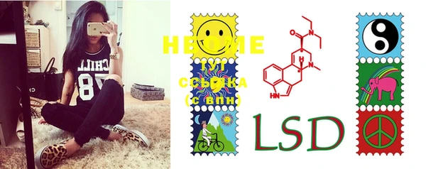 PSILOCYBIN Покачи