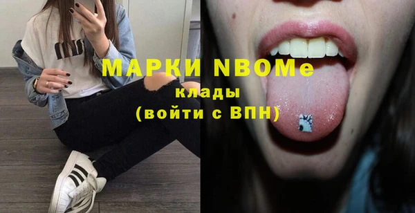 гашик Алексин
