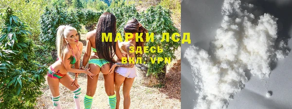 PSILOCYBIN Покачи