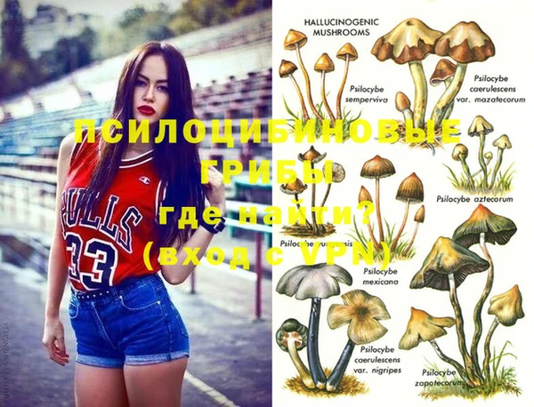 метадон Алзамай