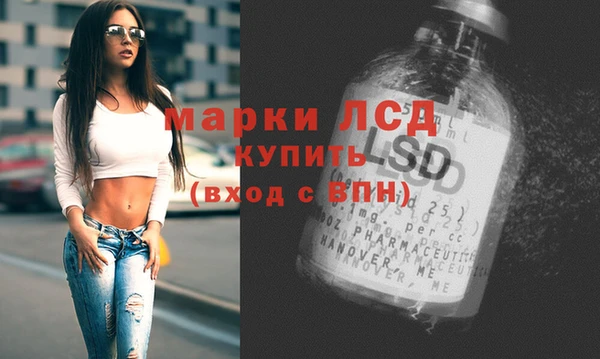 гашик Алексин