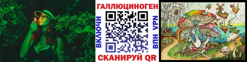 дарнет шоп  Армянск  Псилоцибиновые грибы Cubensis 
